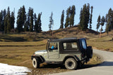 Mahindra Thar CRDe - FRP Hardtop V2